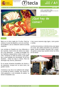 Tecla. Revista de la Consejería de Educación en Reino Unido e Irlanda. Abril 2009