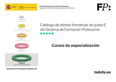 Catálogo de ofertas formativas de grado E del Sistema de Formación Profesional. Cursos de especialización