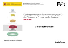 Catálogo de ofertas formativas de grado D del Sistema de Formación Profesional. Ciclos formativos