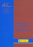 Ochocientos años del Mío Cid: una visión interdisciplinar