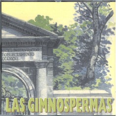 Las gimnospermas