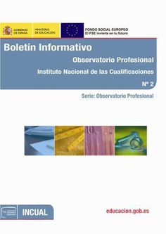 Boletín informativo. Observatorio Profesional. Instituto Nacional de las Cualificaciones nº 2