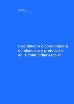 Coordinador o coordinadora de bienestar y protección en la comunidad escolar