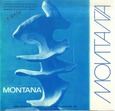 César Montaña : esculturas 1963-1973 : Museo Español de Arte Contemporáneo