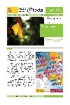 Tecla. Revista de la Consejería de Educación en Reino Unido e Irlanda. Noviembre 2006