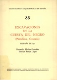 Excavaciones en la Cuesta del Negro (Purullena, Granada). Campaña de 1971