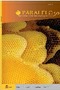 Paralelo 50 nº 4. Revista de la Consejería de Educación: Polonia, Eslovaquia, República Checa y Rusia