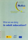 What are we doing in adult education?