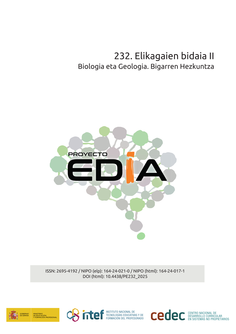 Proyecto EDIA nº 232. Elikagaien bidaia II